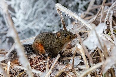 《炉石传说》将停服 网易《秘境对决》今日重启运营